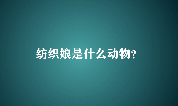 纺织娘是什么动物？