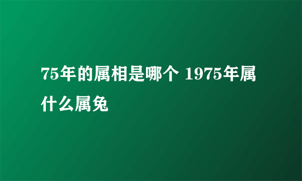 75年的属相是哪个 1975年属什么属兔