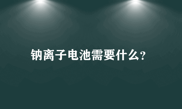 钠离子电池需要什么？