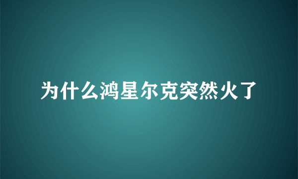 为什么鸿星尔克突然火了