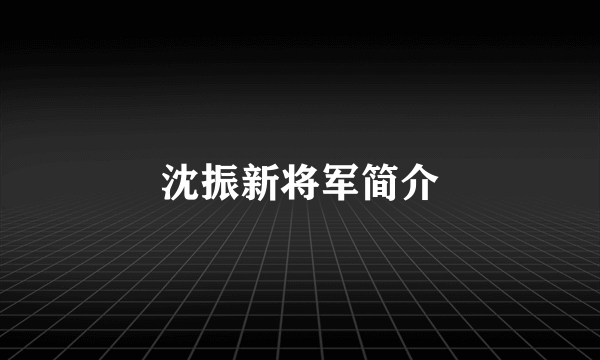 沈振新将军简介