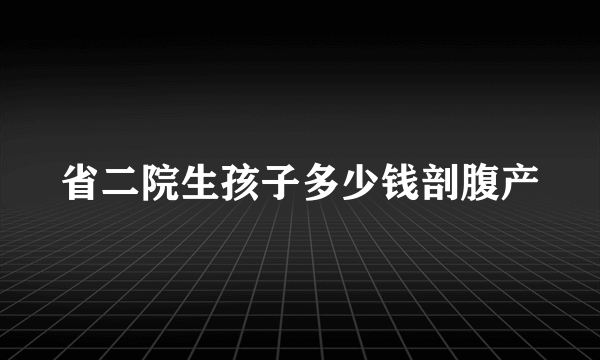 省二院生孩子多少钱剖腹产