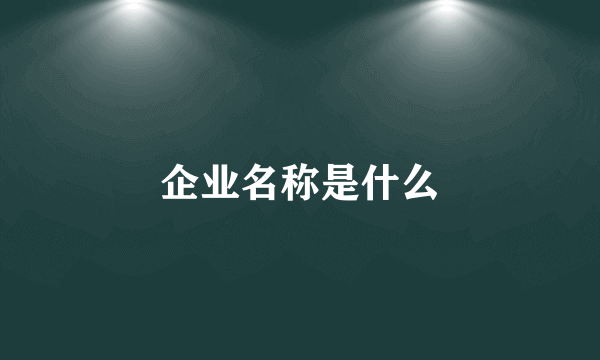 企业名称是什么