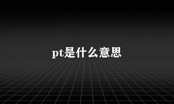 pt是什么意思