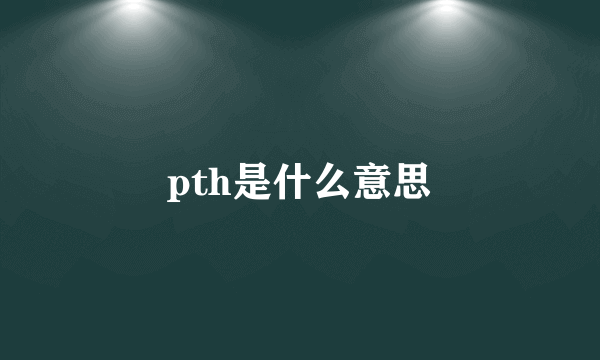 pth是什么意思