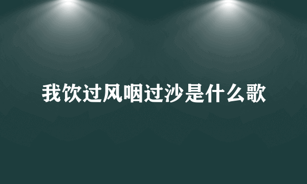 我饮过风咽过沙是什么歌