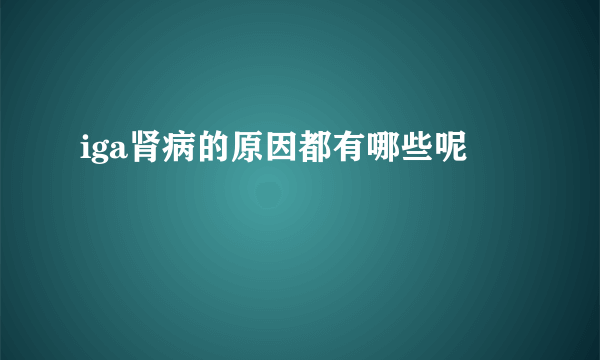 iga肾病的原因都有哪些呢