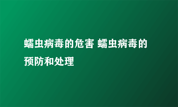 蠕虫病毒的危害 蠕虫病毒的预防和处理