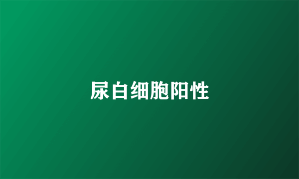 尿白细胞阳性