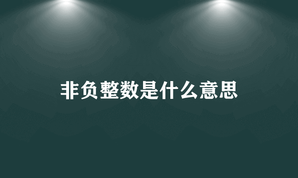 非负整数是什么意思