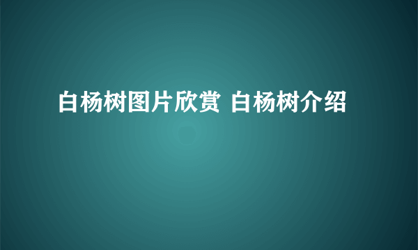 白杨树图片欣赏 白杨树介绍