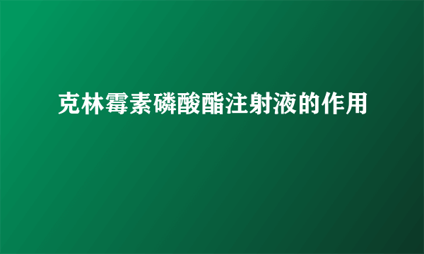 克林霉素磷酸酯注射液的作用