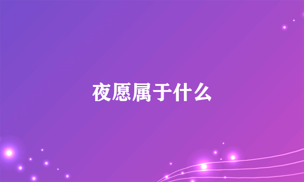 夜愿属于什么