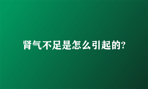 肾气不足是怎么引起的?