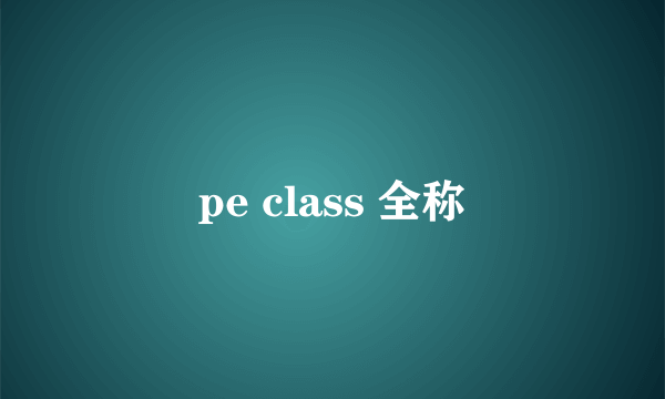 pe class 全称