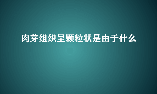 肉芽组织呈颗粒状是由于什么