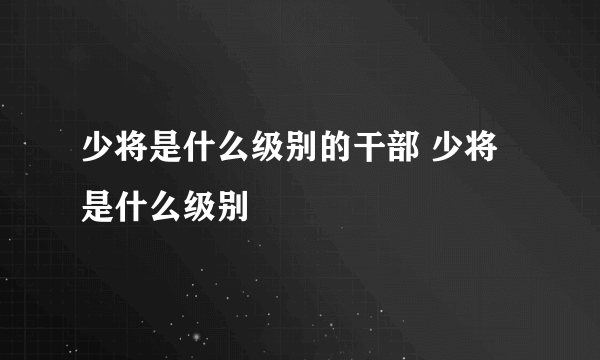 少将是什么级别的干部 少将是什么级别