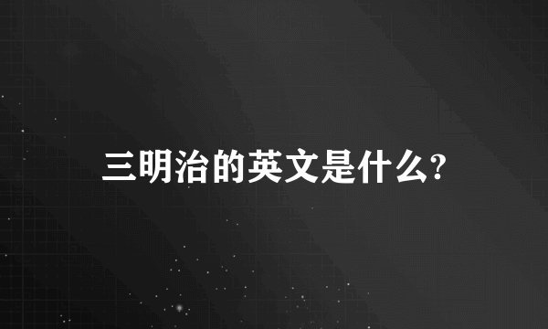 三明治的英文是什么?