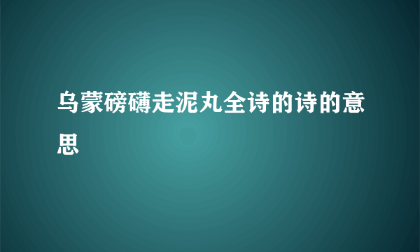 乌蒙磅礴走泥丸全诗的诗的意思