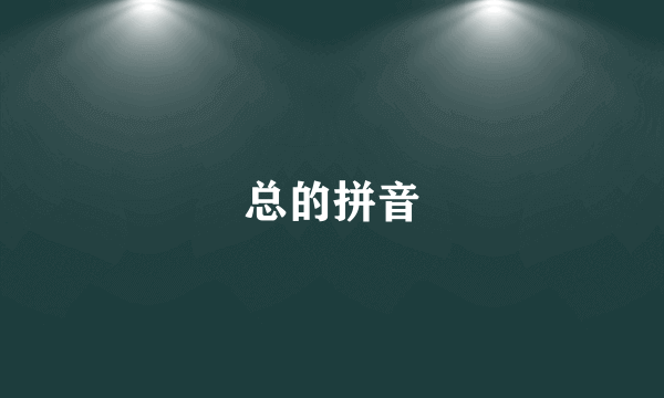 总的拼音