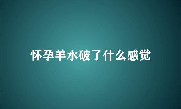 怀孕羊水破了什么感觉