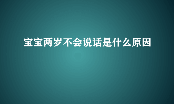 宝宝两岁不会说话是什么原因