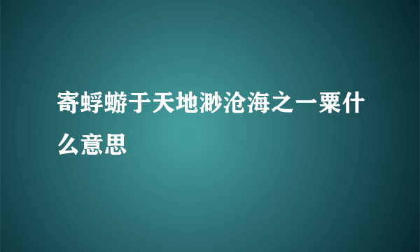 寄蜉蝣于天地渺沧海之一粟什么意思