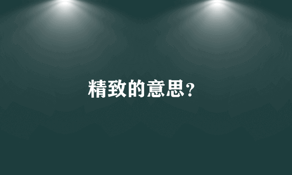 精致的意思？