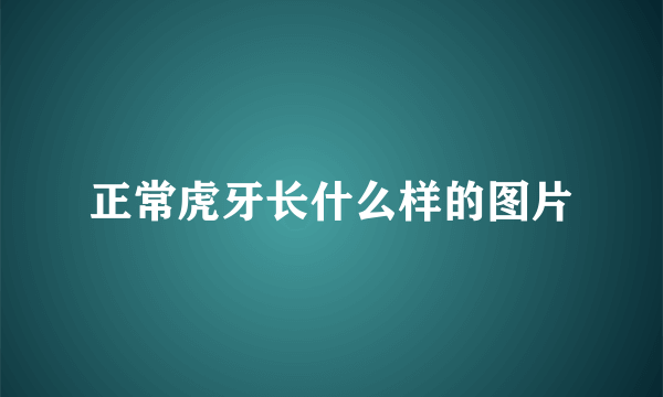 正常虎牙长什么样的图片