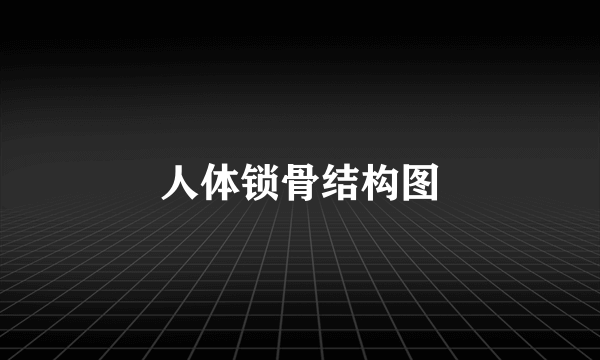 人体锁骨结构图