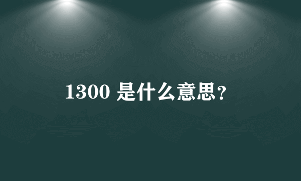 1300 是什么意思？