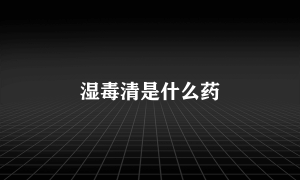 湿毒清是什么药