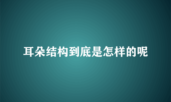 耳朵结构到底是怎样的呢