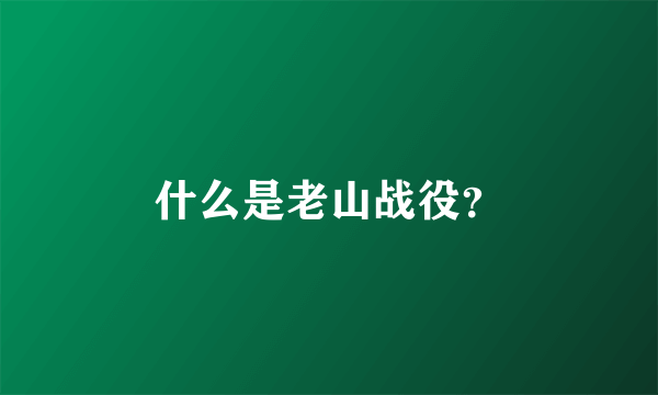 什么是老山战役？