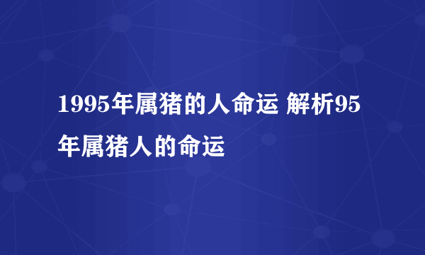 1995年属猪的人命运 解析95年属猪人的命运