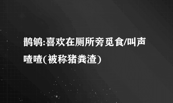 鹊鸲:喜欢在厕所旁觅食/叫声喳喳(被称猪粪渣)