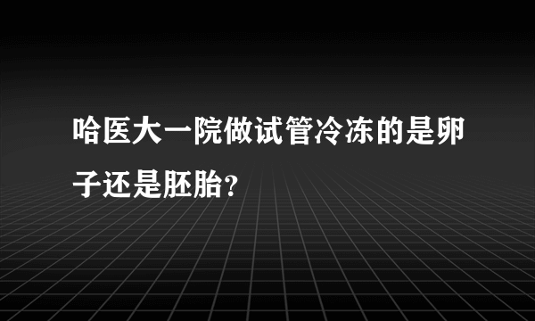 哈医大一院做试管冷冻的是卵子还是胚胎？