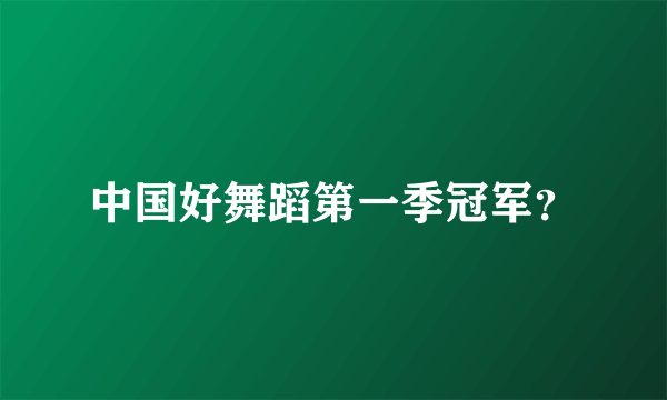 中国好舞蹈第一季冠军？