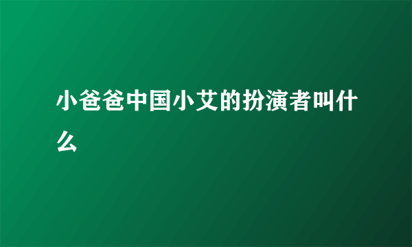 小爸爸中国小艾的扮演者叫什么