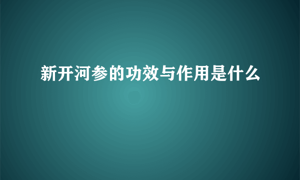 新开河参的功效与作用是什么