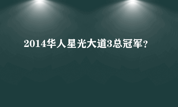 2014华人星光大道3总冠军？