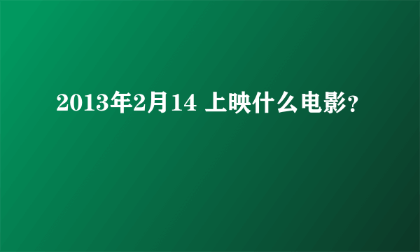 2013年2月14 上映什么电影？