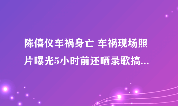 陈僖仪车祸身亡 车祸现场照片曝光5小时前还晒录歌搞怪照(3)-飞外