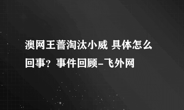 澳网王蔷淘汰小威 具体怎么回事？事件回顾-飞外网