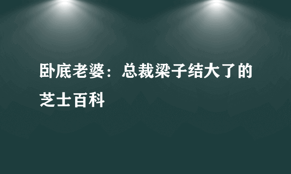 卧底老婆：总裁梁子结大了的芝士百科