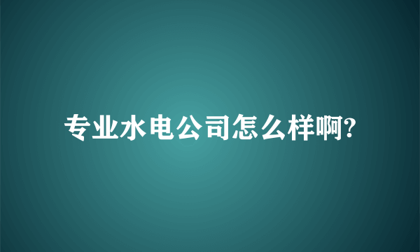 专业水电公司怎么样啊?