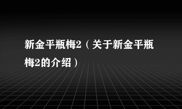 新金平瓶梅2（关于新金平瓶梅2的介绍）