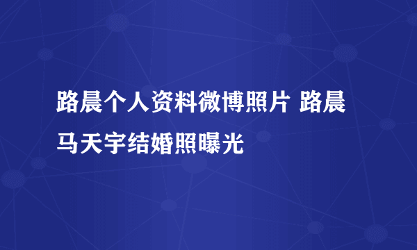 路晨个人资料微博照片 路晨马天宇结婚照曝光