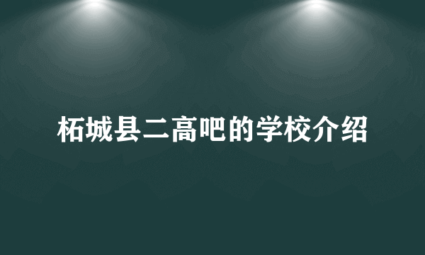 柘城县二高吧的学校介绍