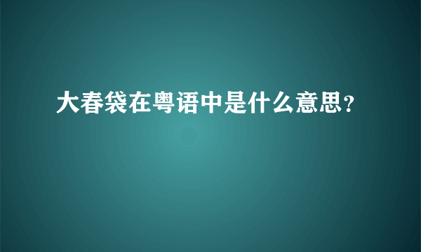 大春袋在粤语中是什么意思？